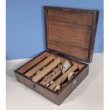 A mahogany box containing fossils