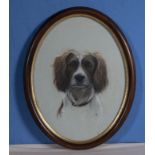 A framed watercolour of a spaniel