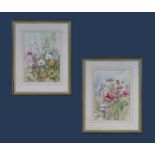 A pair of framed floral watercolours signed Audrey Dewhurst