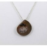 Fossil Gonniatite (350mill.yrs old) pendant on sterling silver chain