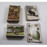 Vintage German collectors cards Animal/Plant subjects