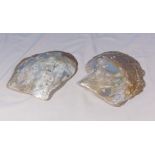 Two mother of pearl shells, 23cm wide x 20cm deep