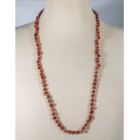 A red coral necklace with gold coloured spacers. 28"inches in length