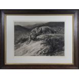 Herbert Dicksee, a fine impressive quality art - etching (HD.1914) depicting a leopard on an