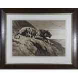 Herbert Dicksee pencil signed fine art etching of a tiger sitting on a rock surveying the area