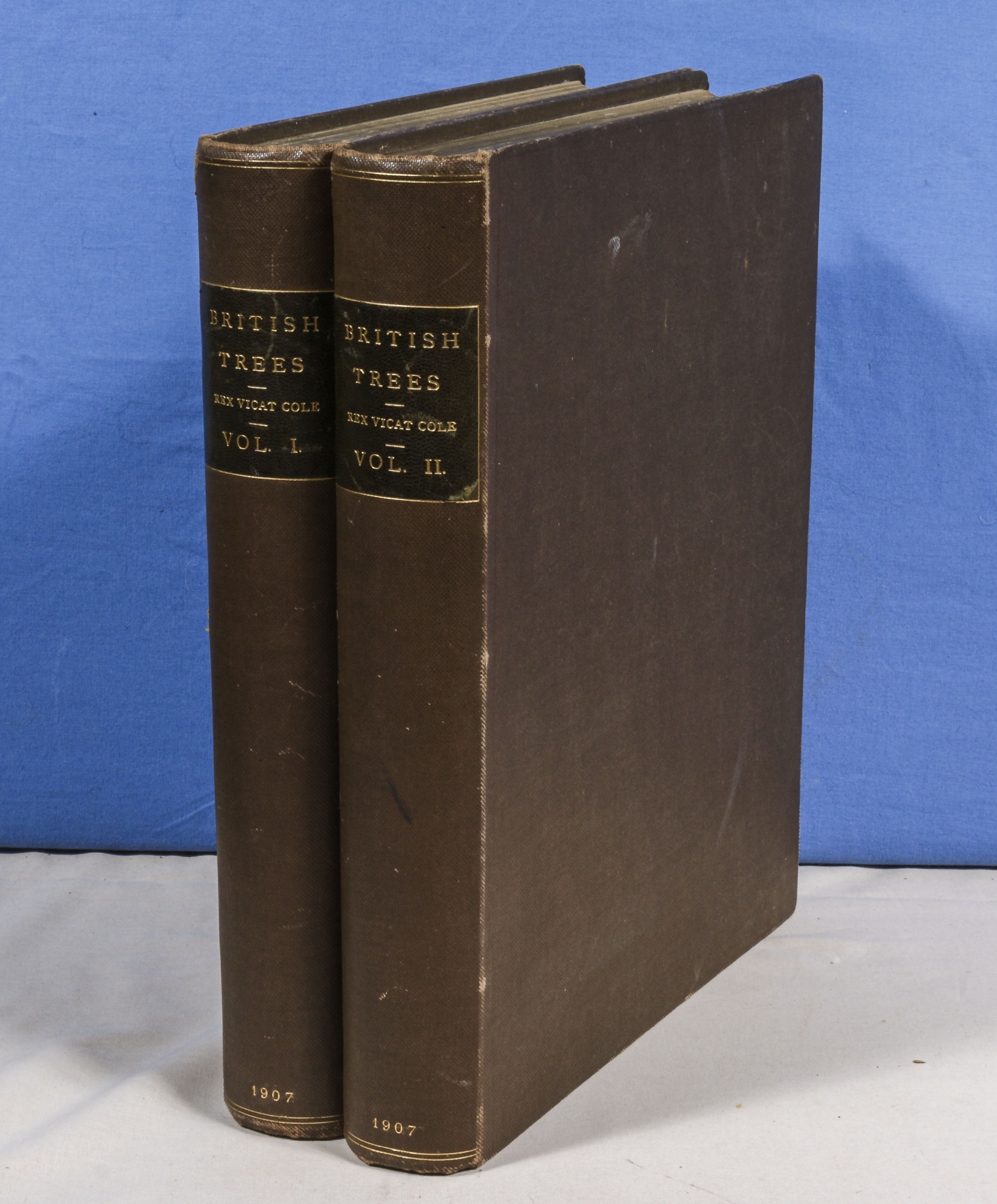 Rex Vicat Cole. 2 volumes, large thick quarto size, British Trees, drawn and described by Rex