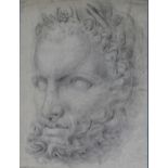 Antique pencil drawing of a classical man's head from the antique, unsigned, unframed. size. 12" x