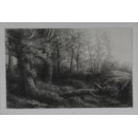 A. Legros etching, A Woodland Study. An original plate. The studio. unframed. Size 9.5"x 13"