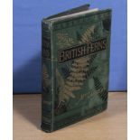 British Ferns by Mrs. Lankester. 1884. pub. David Bogue, London, Gilt edged, decorative cloth