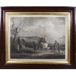 James Ward (1769 - 1859) a large rosewood framed mezzotint engraving