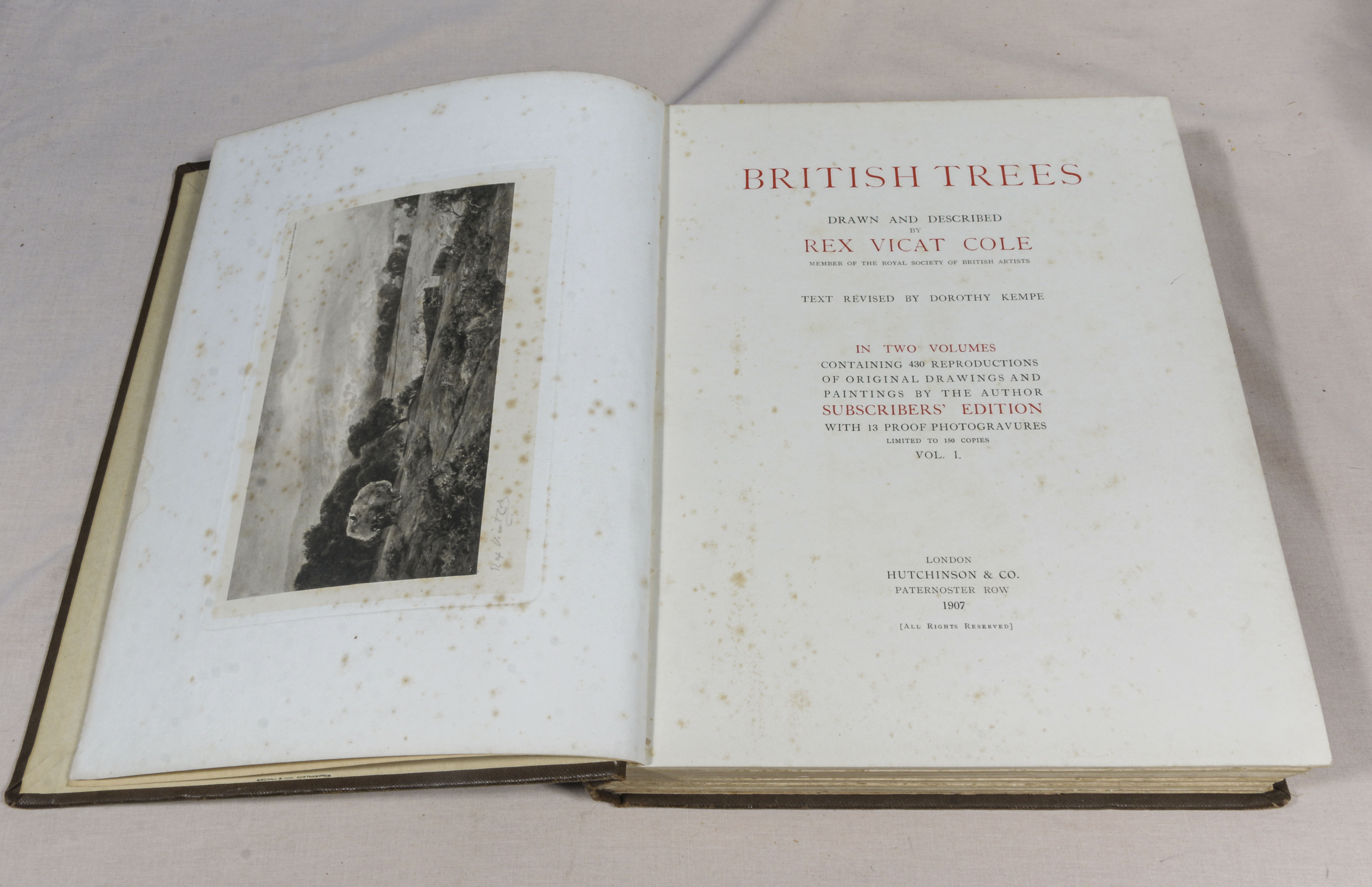 Rex Vicat Cole. 2 volumes, large thick quarto size, British Trees, drawn and described by Rex - Image 2 of 12