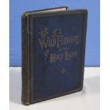 Wild Flowers of the Holy-Land. quarto. (1st edition) by Mrs Hannah Zeller Nazareth (1875). With an