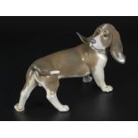 A Lladro figure of a Bassett hound, 7" in length, back foot repaired