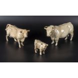 Beswick Charolais Bull no. 2463A, Charolais Cow no. 3057A and Calf no. 1827B