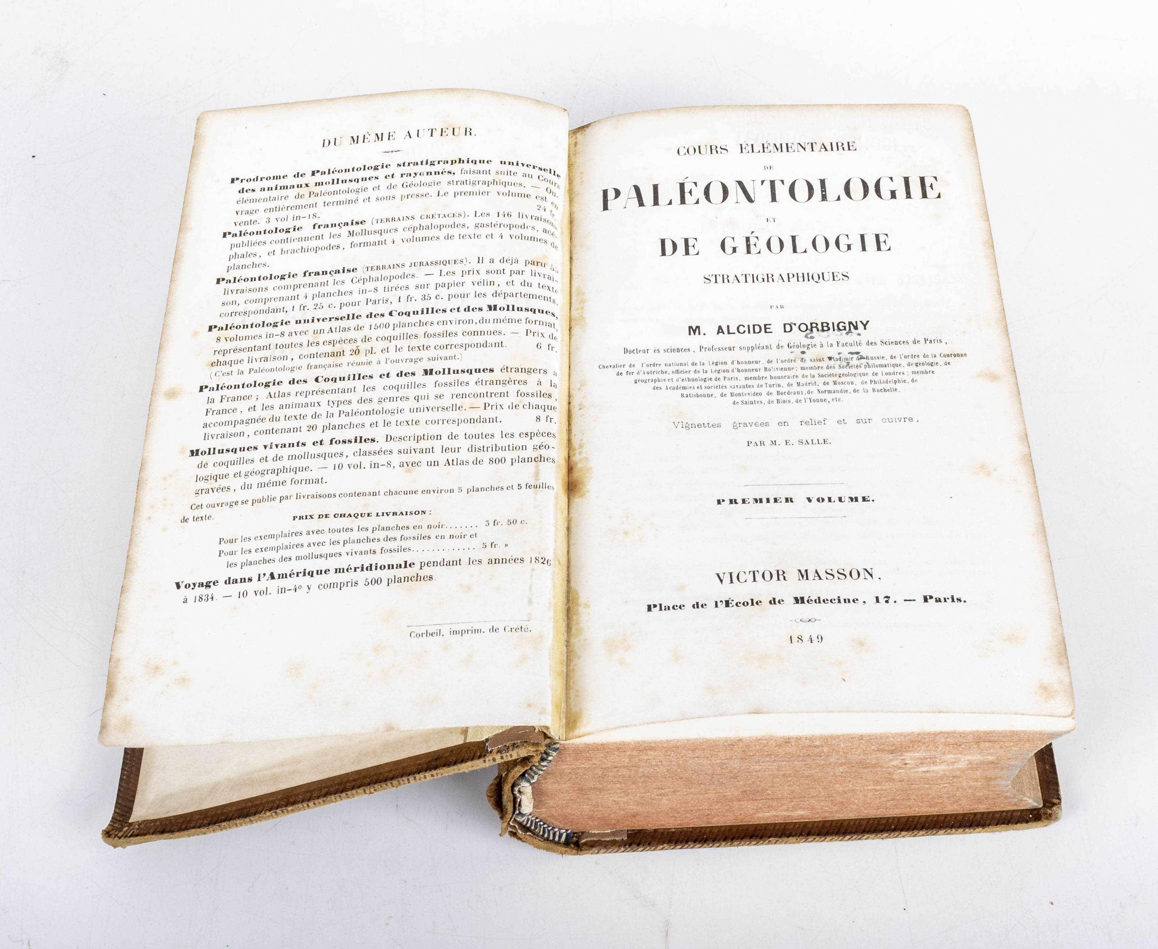 Fossil book rare 1st French edition Cours Elementaire Paleontologie et de Geologie Stratgraphiques - Image 4 of 4