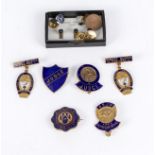 A collection of badges including, BSJA Judges badges, Robert Burns Federation, Ayrshire Otter Hunt