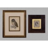 A small framed print of an owl together with a small rosewood framed print, 19.5cm x 21cm and 13cm x