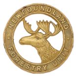Newfoundland Forestry Unit WW2 cap badge.