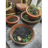 Five mixed terracotta garden planters