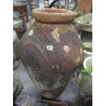 A large terracotta olive pot, 32 1/2" A/F