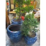 Four mottled garden planters containing mixed plants