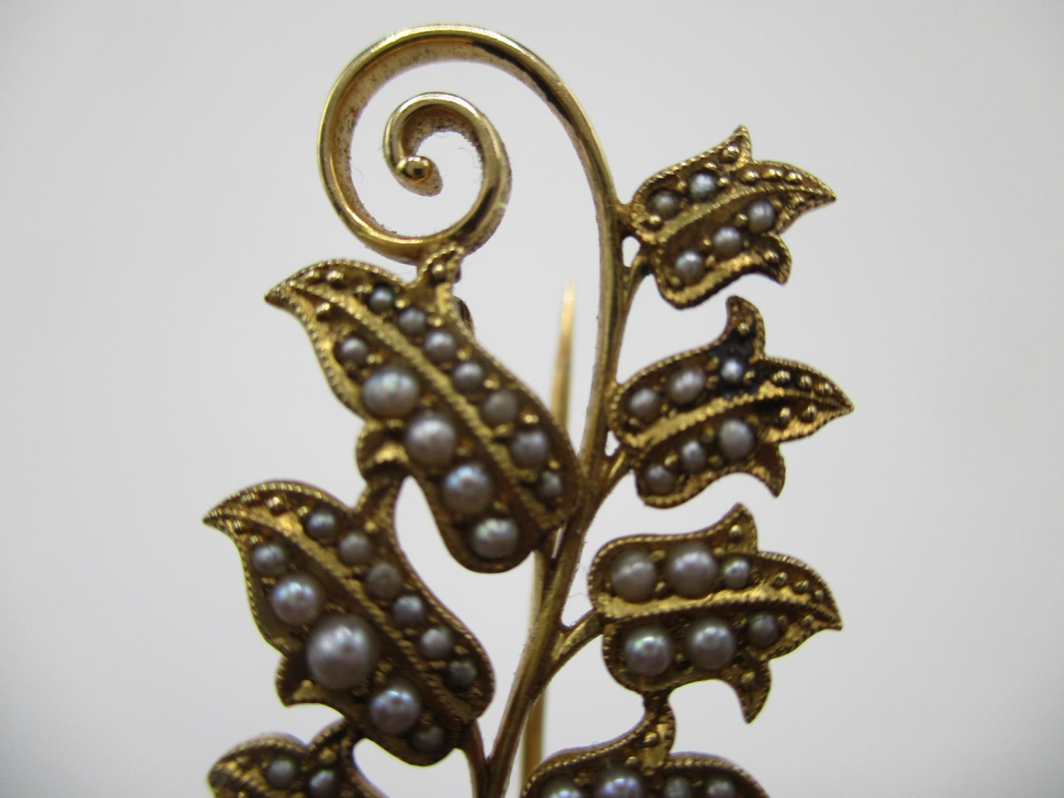 A gold coloured metal brooch fashioned as a fruiting vine with a scrolled stem, the fruit and leaves - Image 4 of 6