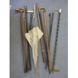Late 19th/early 20th century walking canes, umbrella and sword stick, some with silver collars and