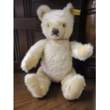 A 1960s/70s Steiff blond teddy bear. Location:RWB Condition: Felt pen initials to base of one foot