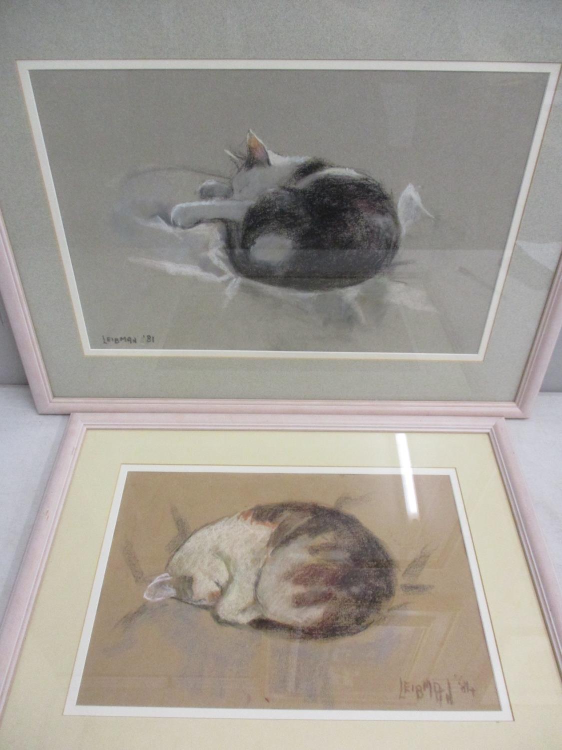 Leibman - two pastels depicting sleeping cats, one dated '81, the other '84