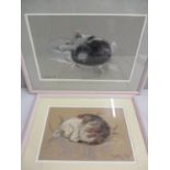 Leibman - two pastels depicting sleeping cats, one dated '81, the other '84