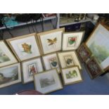 A group of botanical flower prints and watercolours, two framed and glazed Berlin woolwork