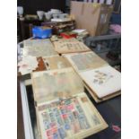 A large collection of stamps from around the world, many mounted in albums, others loose, along with