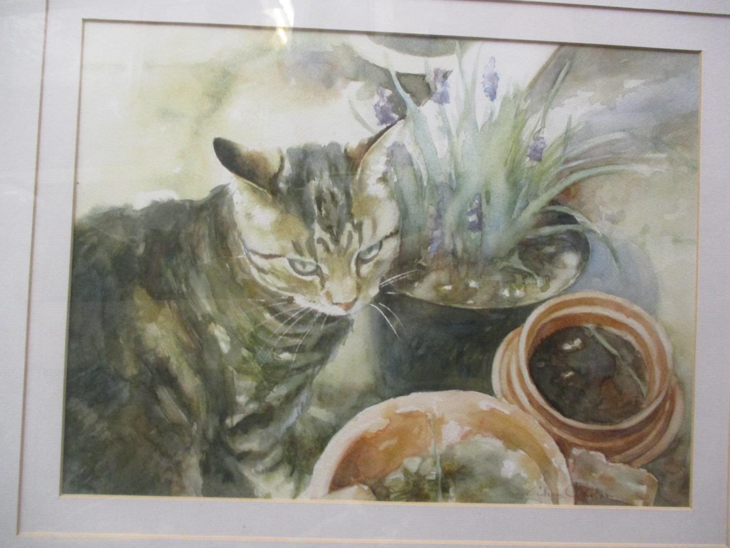 Mixed pictures mainly cat related to include Gillian Corolan, watercolour entitled Flower Pots, 16 - Image 2 of 2