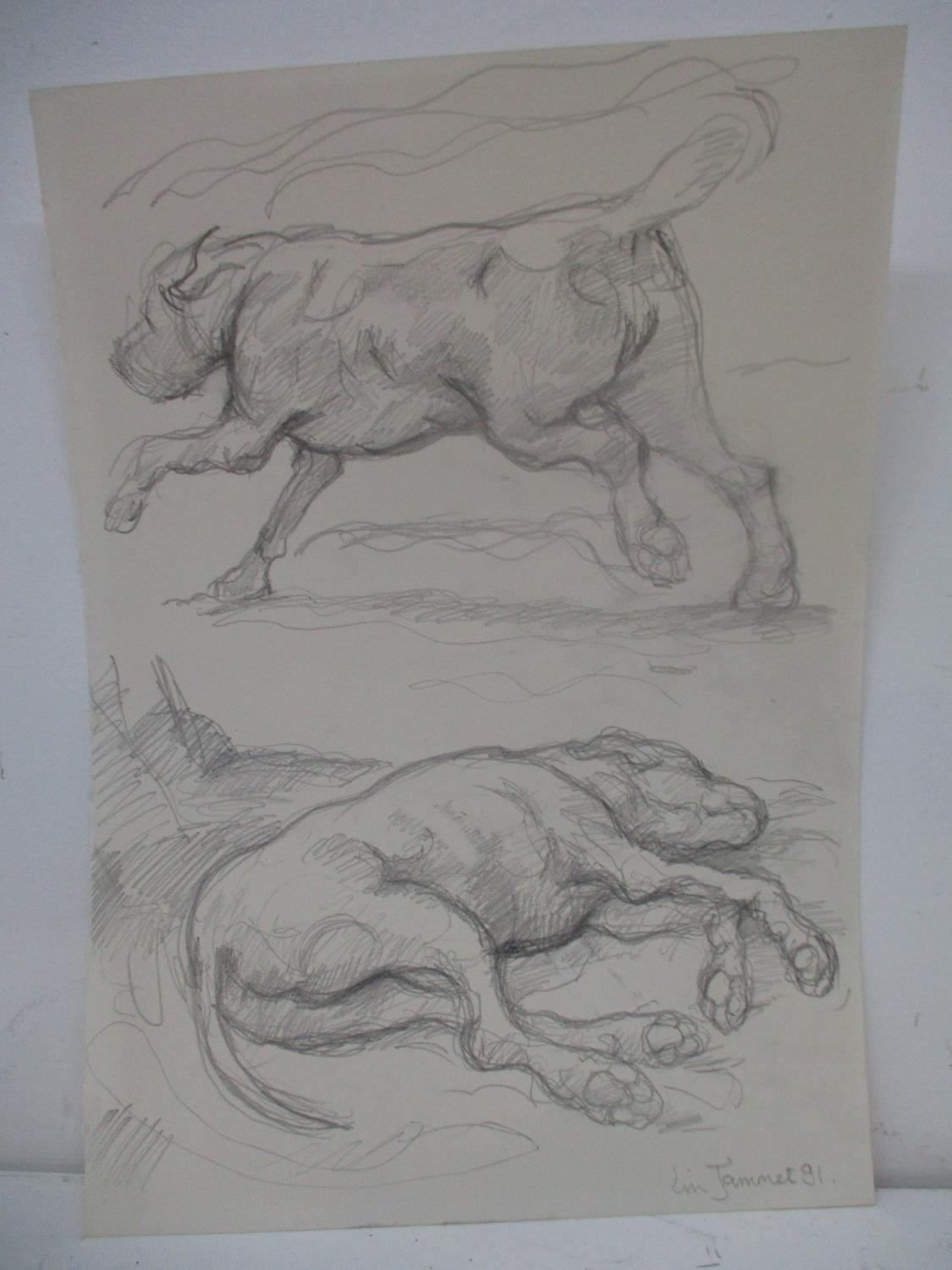 Lin Jammet - a study of two dogs, one running, the other asleep, pencil sketch signed and dated '91,