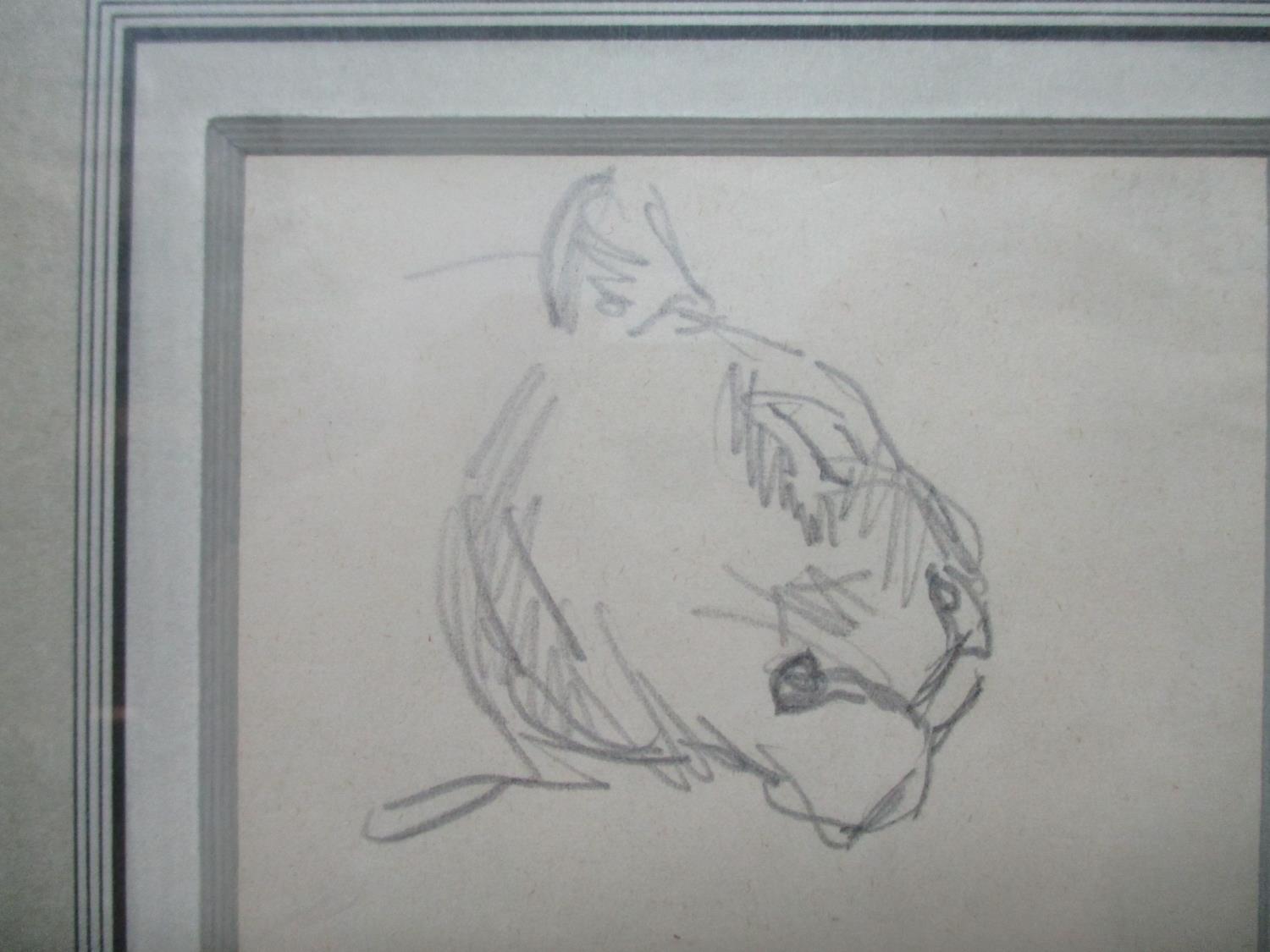 Attributed to Theophile Steinlen 1859-1923 - 'Lioness Head', pencil sketch on paper, 6" x 4", in a - Image 3 of 3