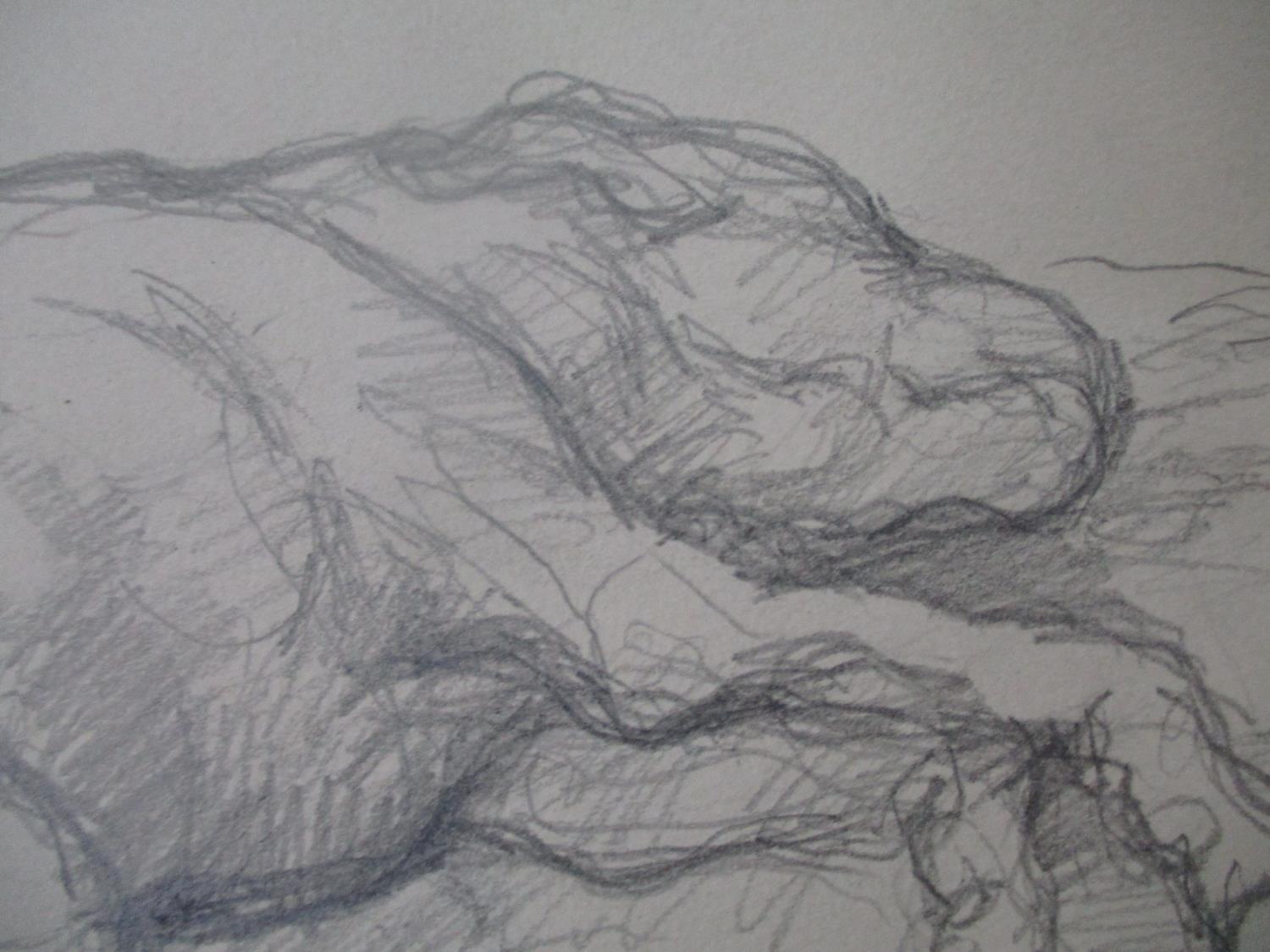 Lin Jammet - a study of two dogs, one running, the other asleep, pencil sketch signed and dated '91, - Image 3 of 4