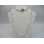 A cultured pearl necklace with an 18ct gold pearl/diamond and ruby set clasp, 24 1/2" long,