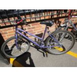 Integra Tracks ladies bike in purple