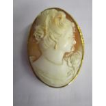 A 9ct yellow gold set oval shell cameo featuring the profile of a young lady with flower facing to