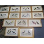 A selection of framed and glazed book plates depicting exotic birds (13) along with mixed pictures