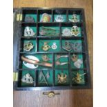 A display case containing a selection of cap badges, shoulder titles, ARP badge, and other