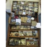 A mahogany cased collection of stones and minerals collected by the vendor's aunt during the 2nd