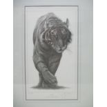 Gary Hodges - 'Stealth', a study of a tiger limited edition print 110/1250 signed in pencil, 17" x 9