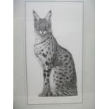 Gary Hodges - Elegance, a study of a Cheetah cub, limited edition print 766/850, signed in pencil,