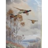 J C Harrison - two cock and a hen pheasant in flight over a lake and trees, watercolour bears a