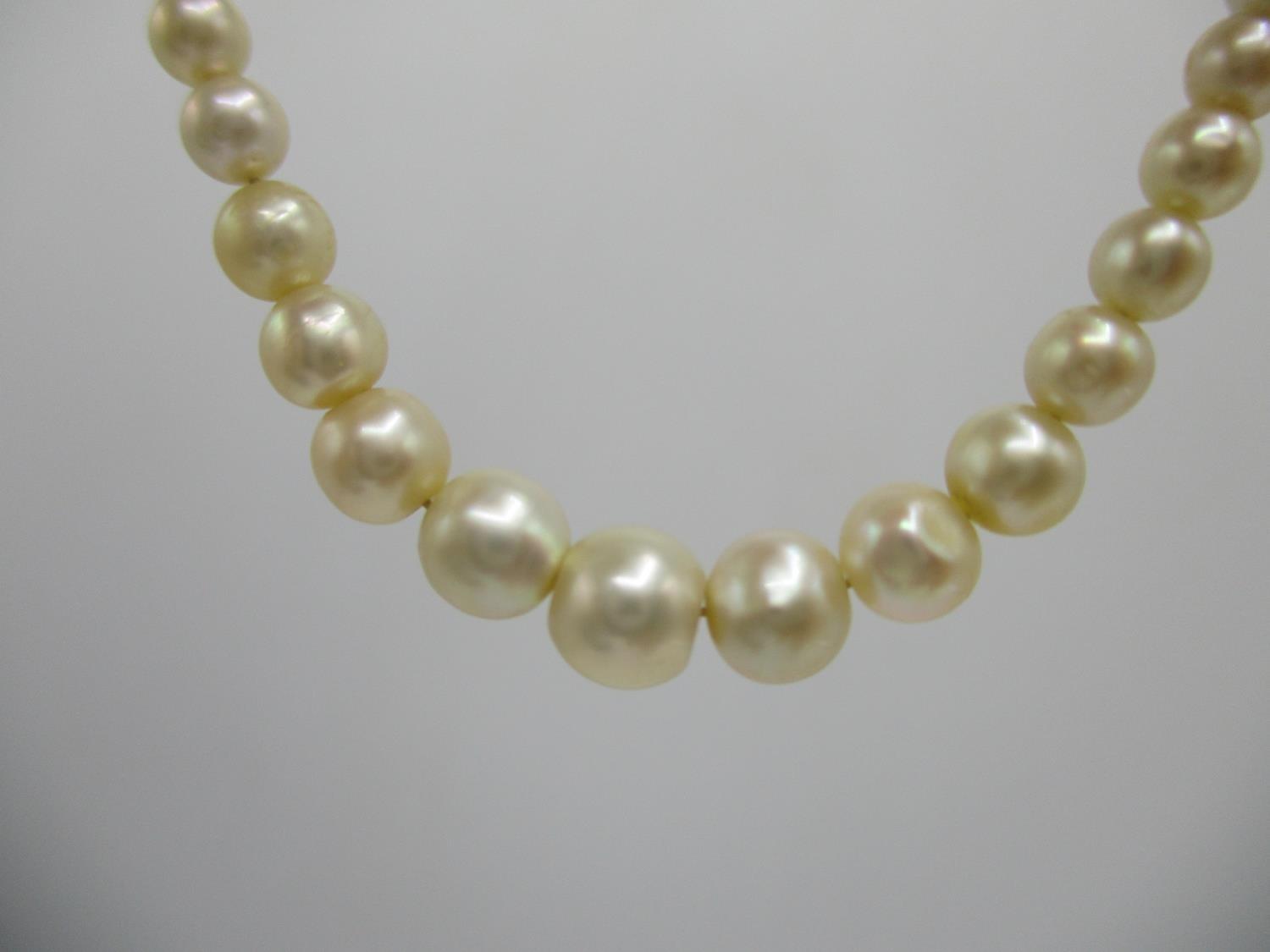 A natural pearl necklace with a gold clasp set with diamonds - Image 6 of 6
