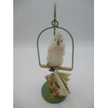 A Steiff classic made in Germany Knoff IM OHR genuine mohair parrot on a perch