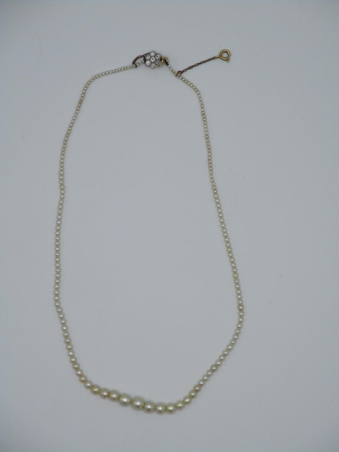 A natural pearl necklace with a gold clasp set with diamonds