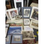 A quantity of prints, mainly equine related and others to include 2 Cecil Aldin prints, one of a
