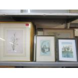 A quantity of framed and glazed prints to include golfing and botanical prints (23), along with a